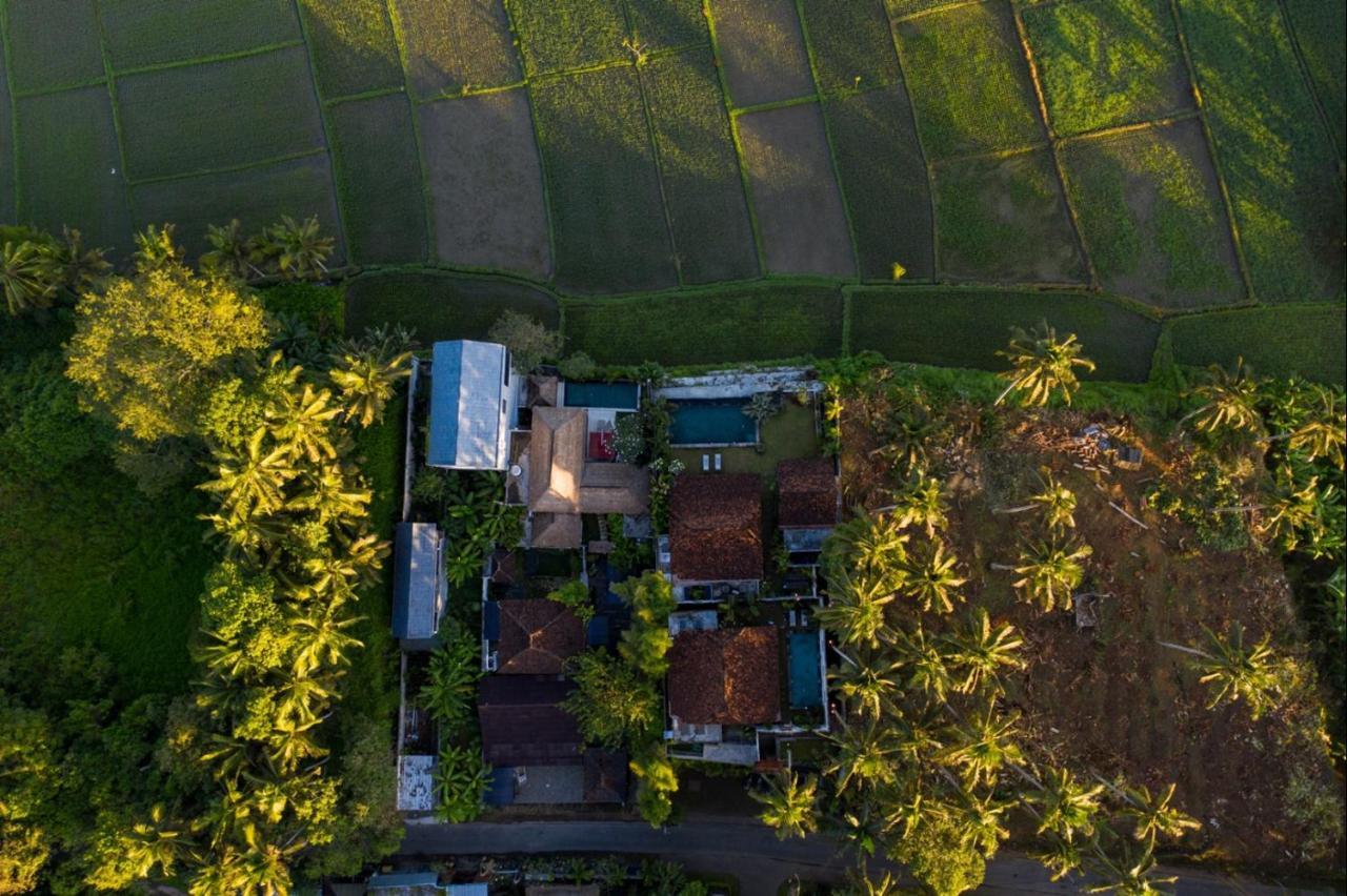Villa O'Hea Ubud Exteriör bild